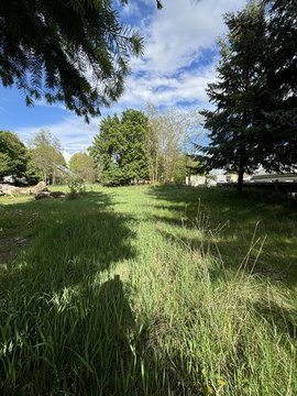 Kettle Falls Lot with Potential