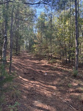Land, Talladega, AL