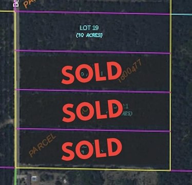 Wooded Acreage Near Wisconsin Rapids