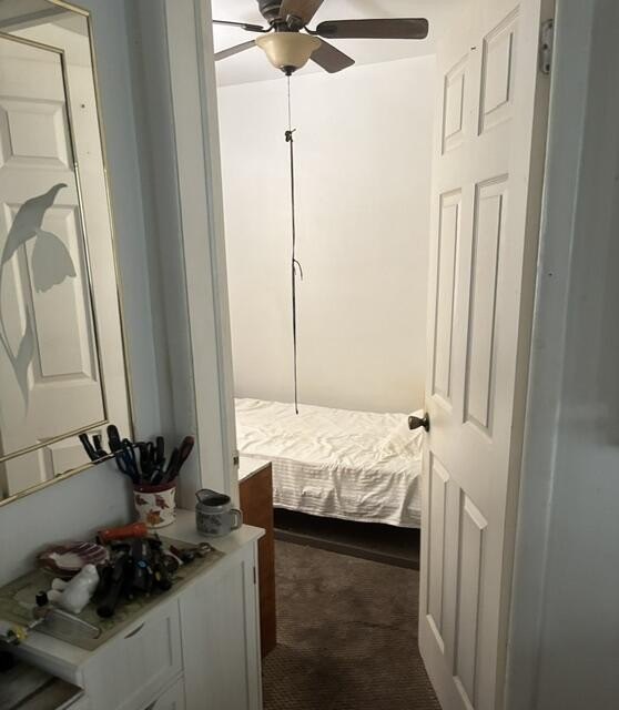 Picture 13