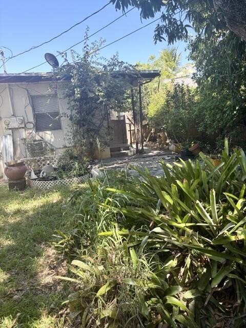 Picture 14