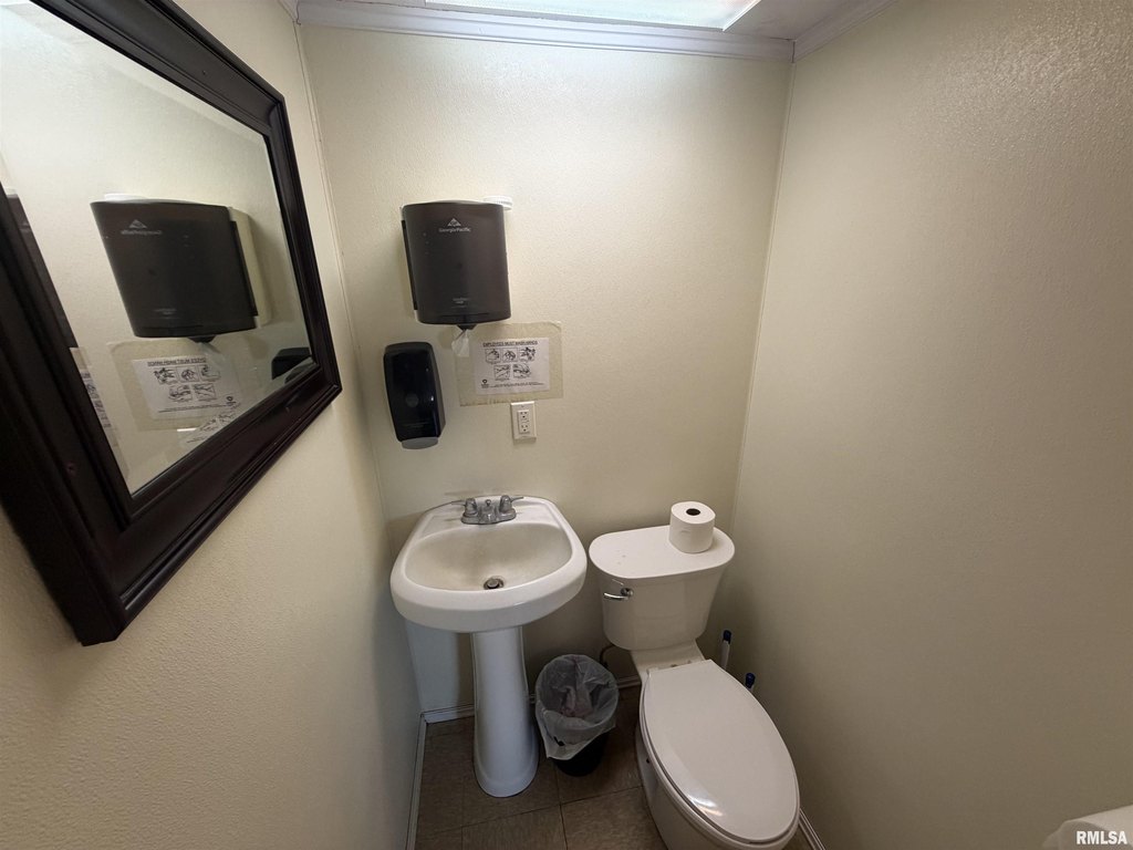 Picture 8