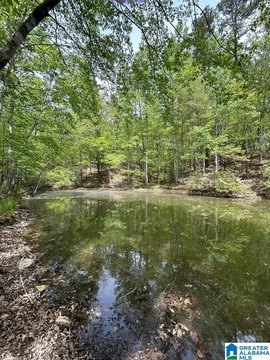 Lakefront Subdivision Land Parcel