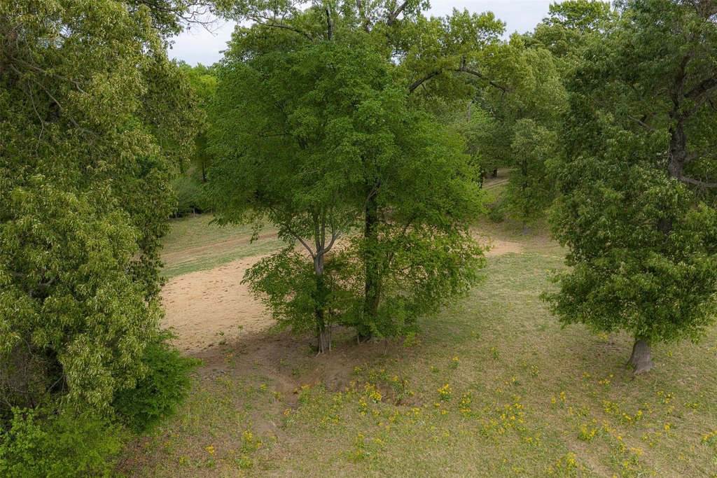 Picture 19