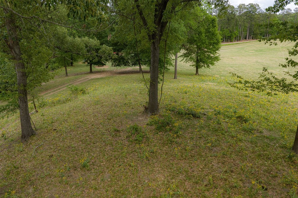 Picture 27