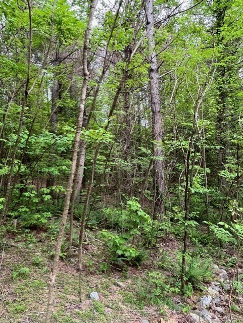 Picture 7