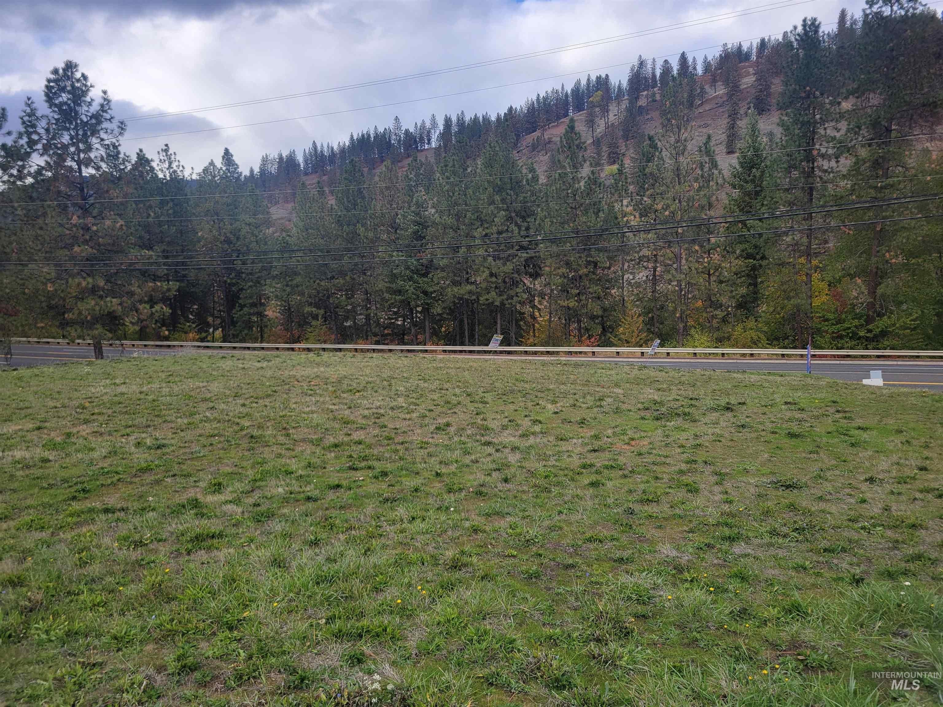 Highway Frontage Land in Orofino