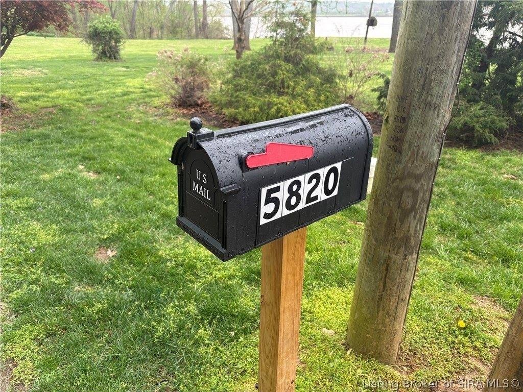 Picture 4
