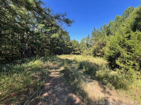 Hunting Land with Mature Timber