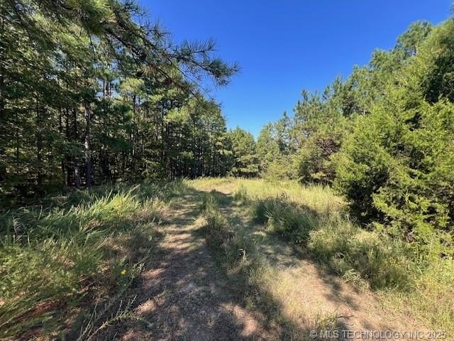 Secluded Land Ideal for Hunting