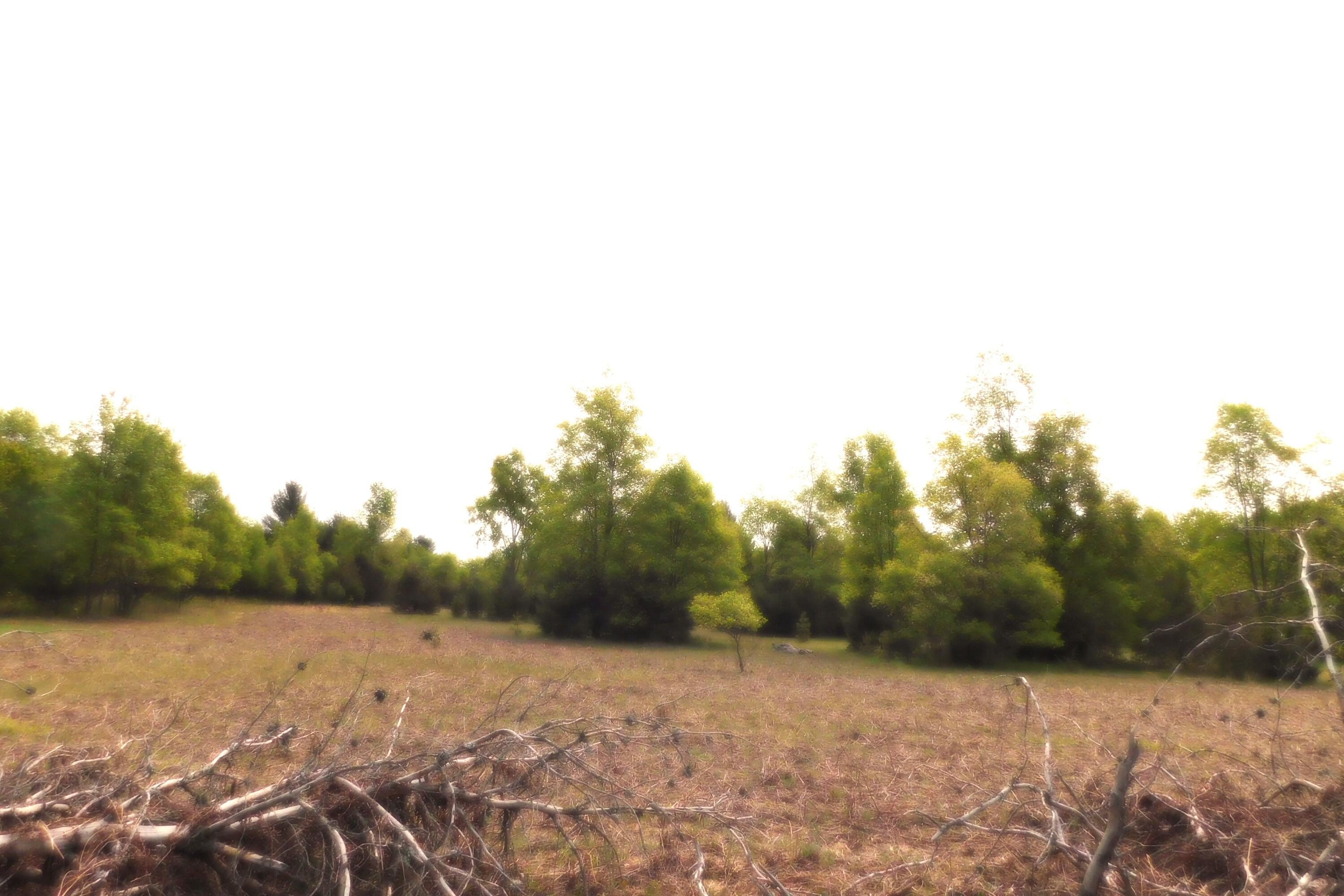 Vacant Land Near ORV Trail