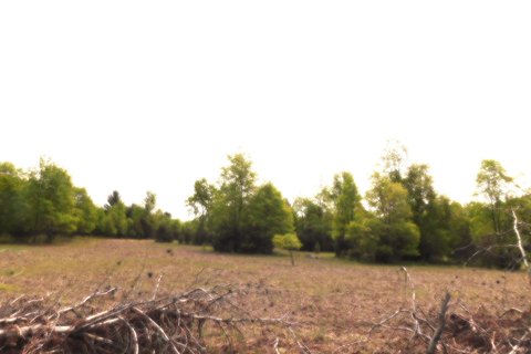 Vacant Land Near ORV Trail