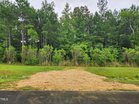 Buildable Lot in Cedar Mountain