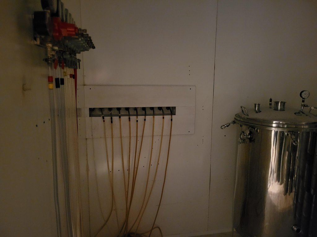 Picture 13