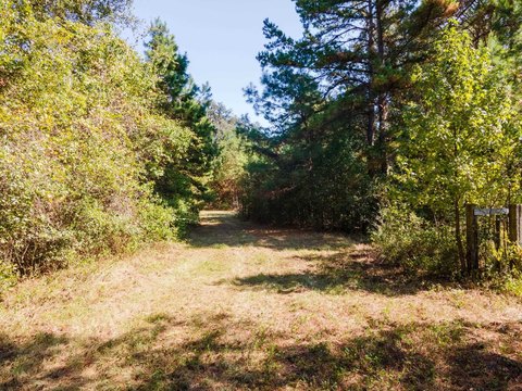 LAND - Tallahassee, FL