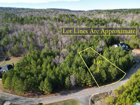 LAND/LOTS, PELL CITY, AL