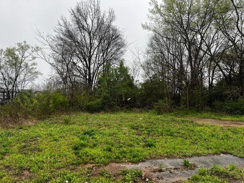 Land For Sale in Jasper