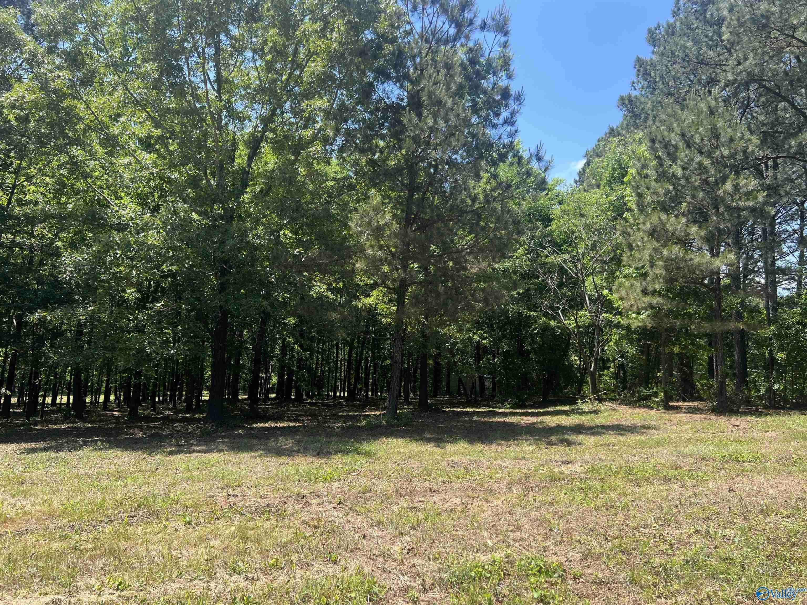 Land Near Weiss Lake