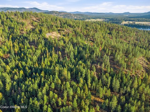 Land, Priest River, ID