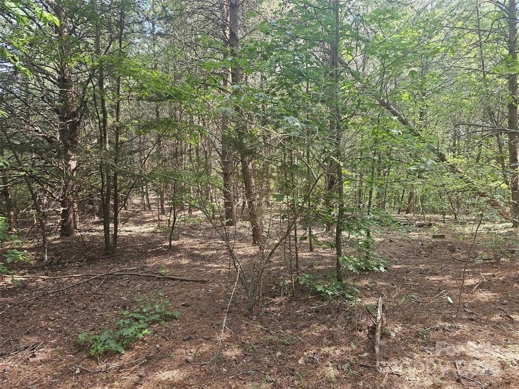 Picture 7