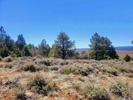 Duck Creek Village Building Lot