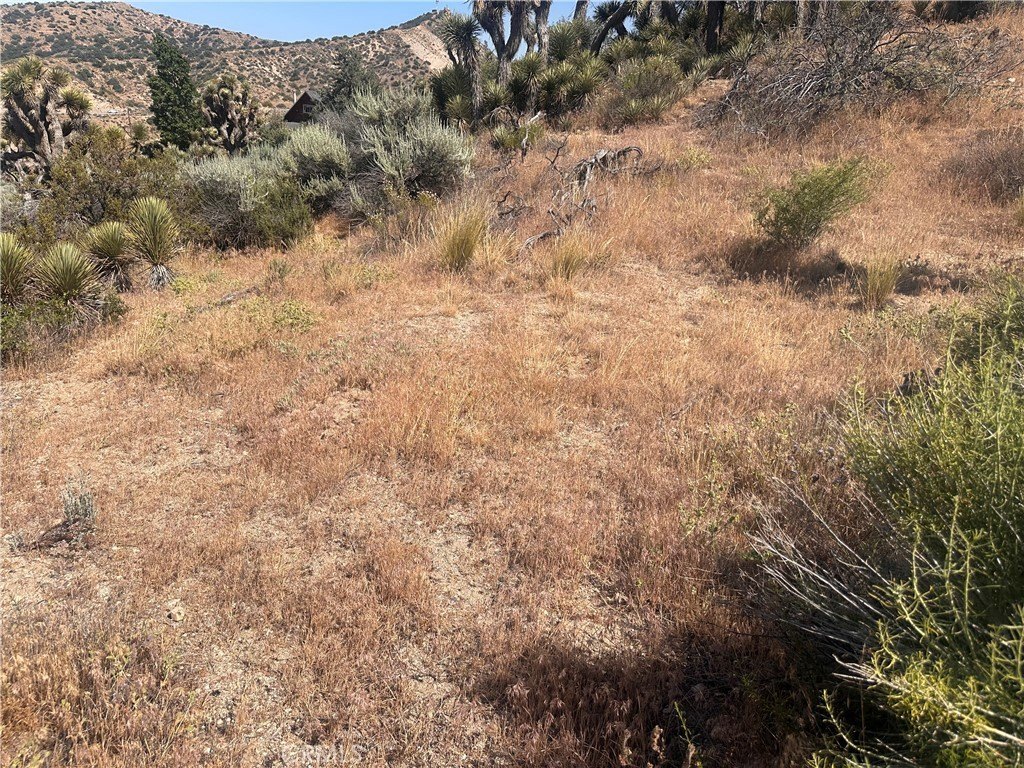 Picture 16