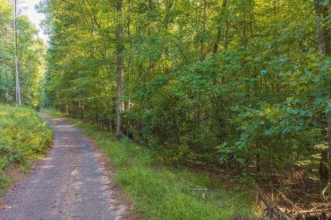 Vacant Lot, Talking Rock, GA