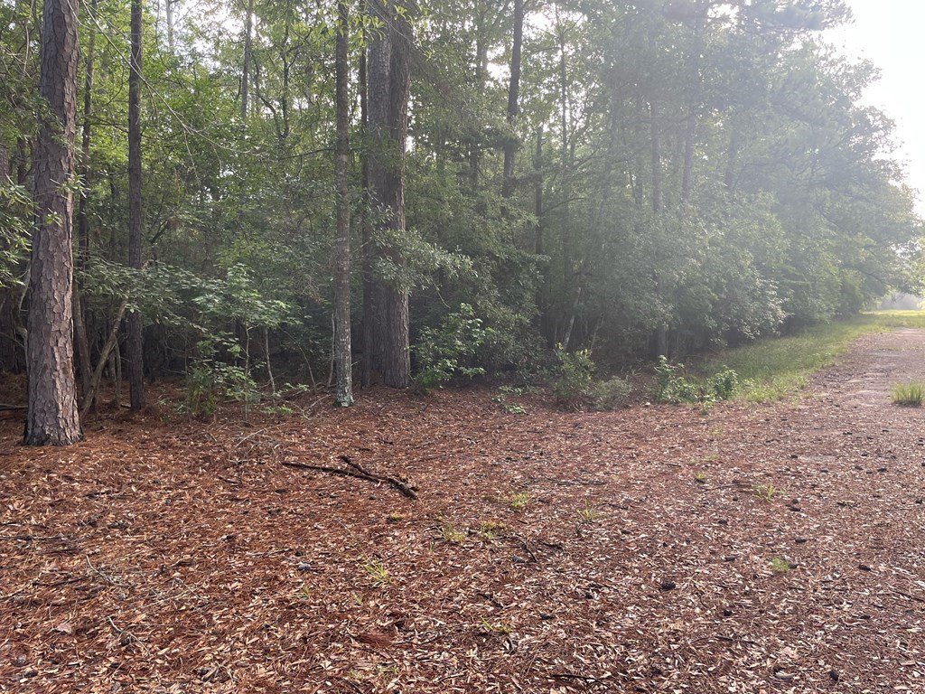 Picture 2