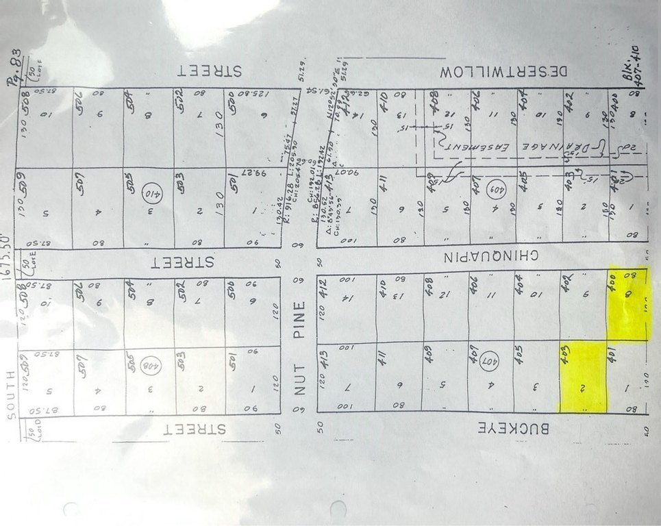 Picture 5