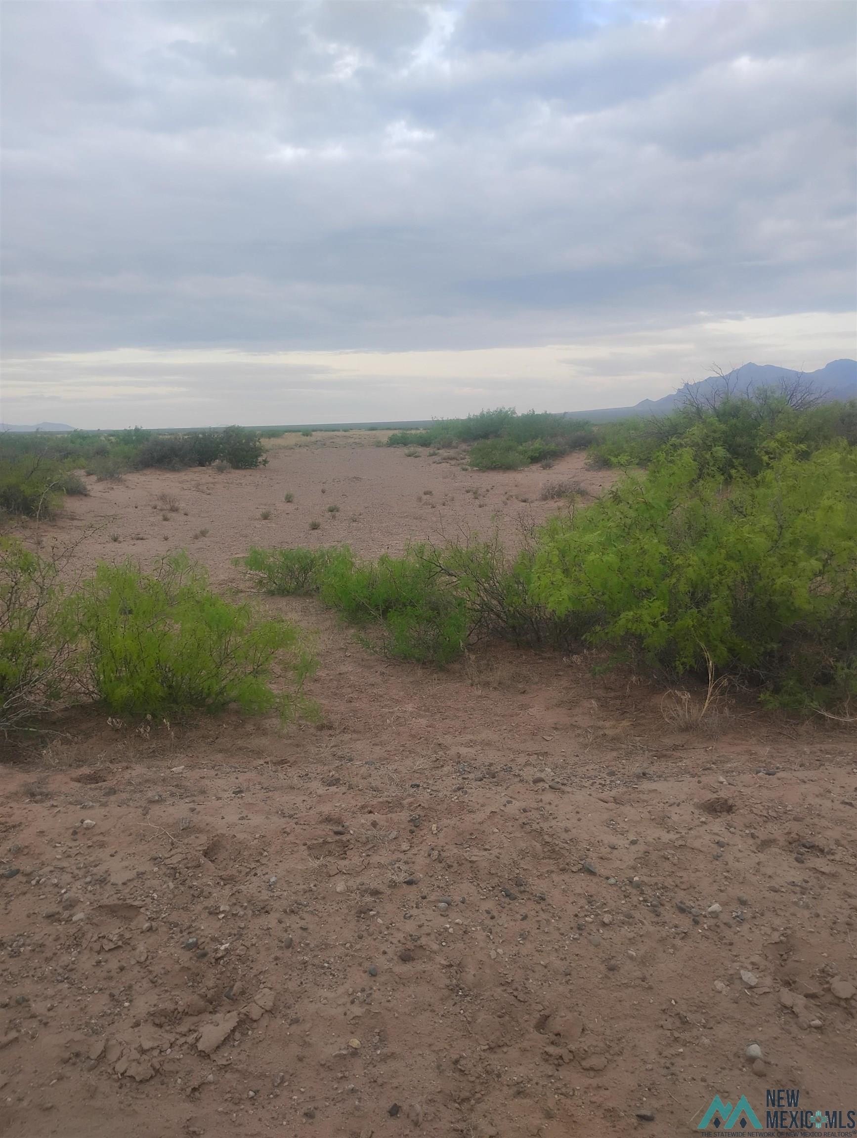 Land with Mountain Views