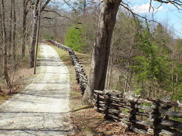 Picture 4