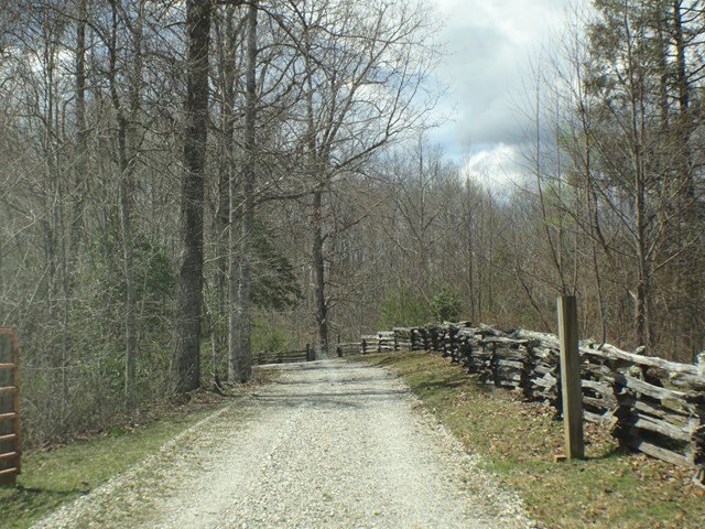 Picture 5