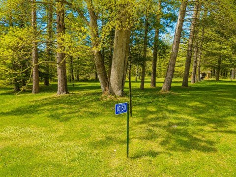 Wooded Recreational Land Parcel
