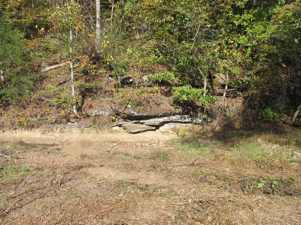 Picture 18
