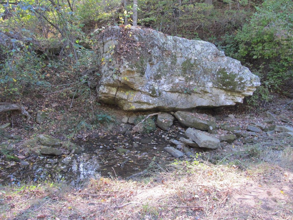 Picture 22