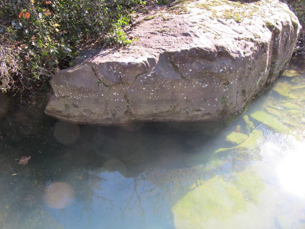 Picture 7