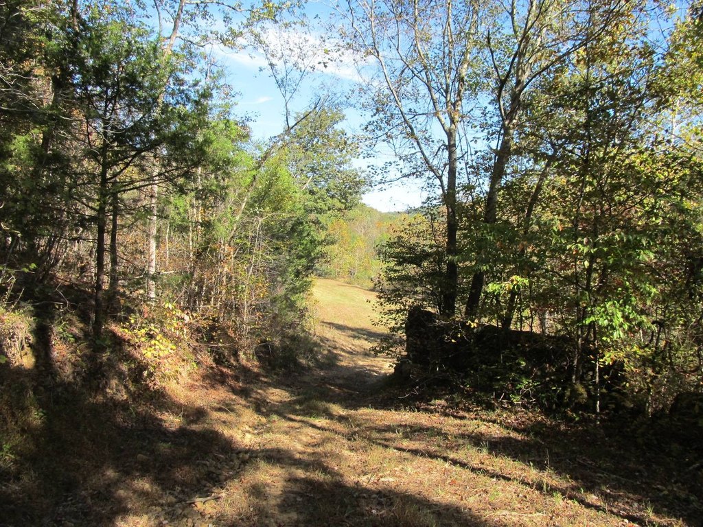 Picture 14