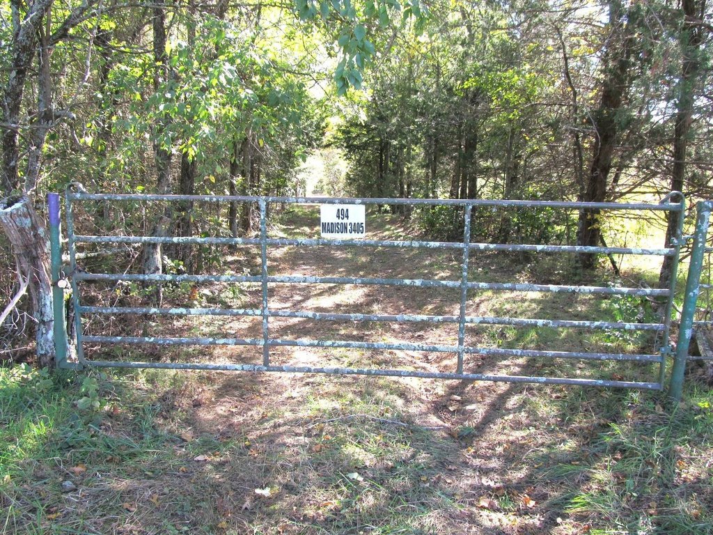 Picture 9