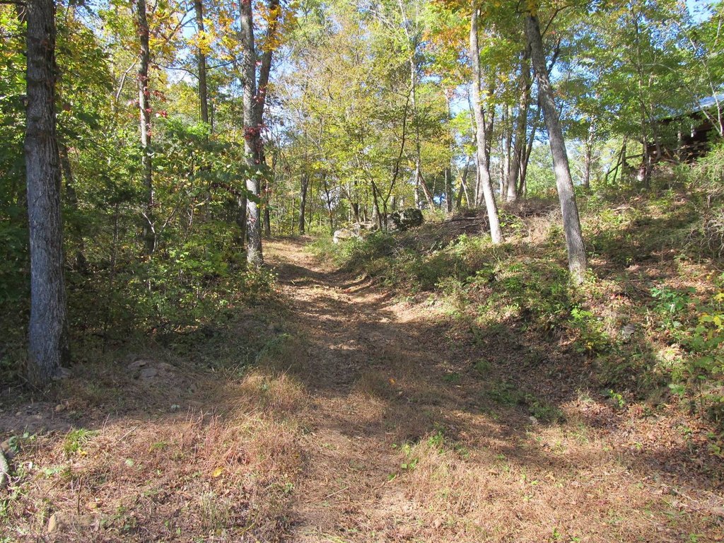 Picture 23