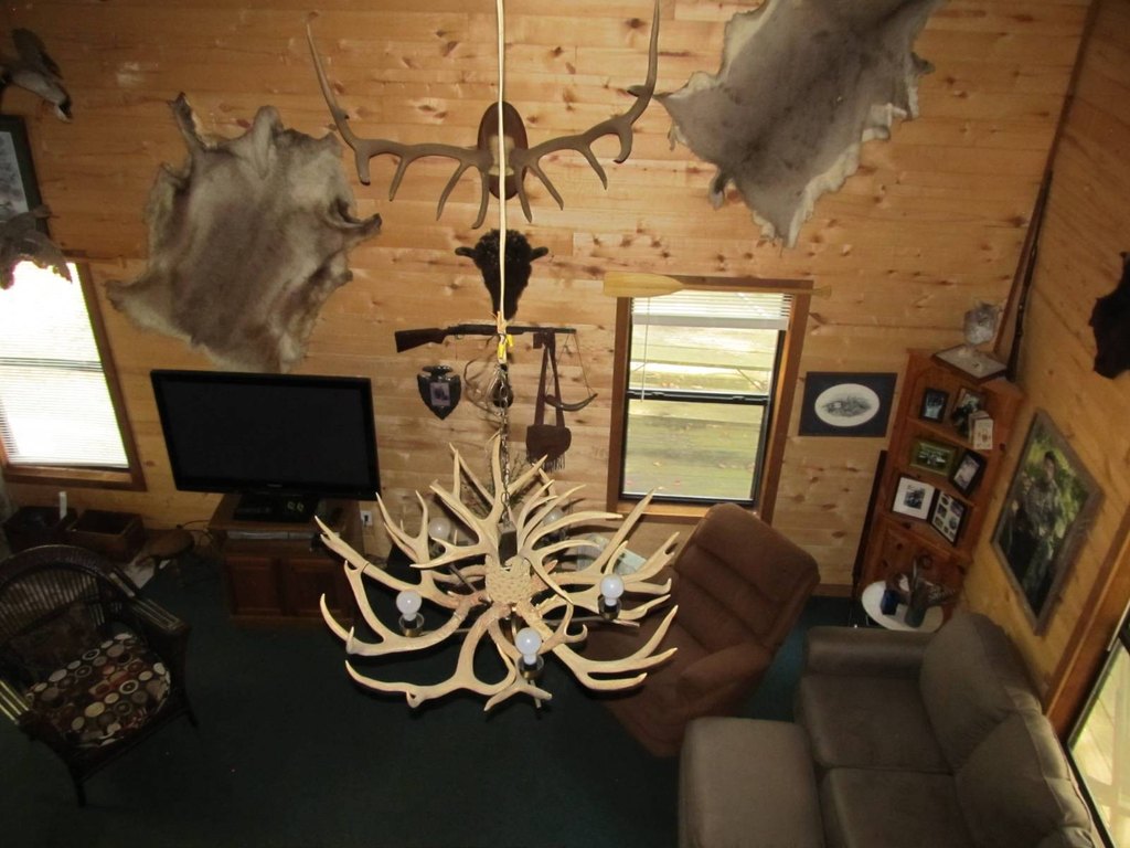 Picture 47