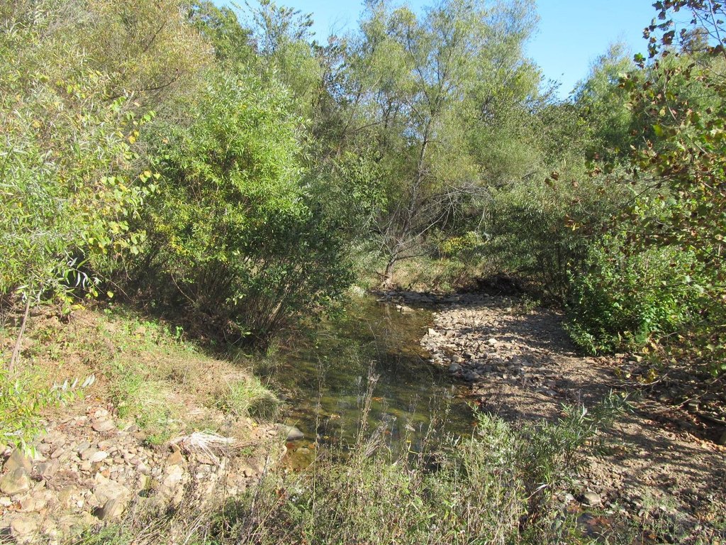 Picture 19