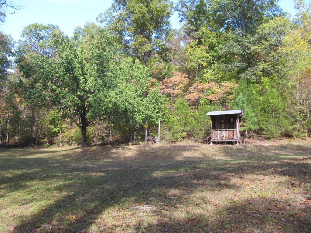 Picture 25