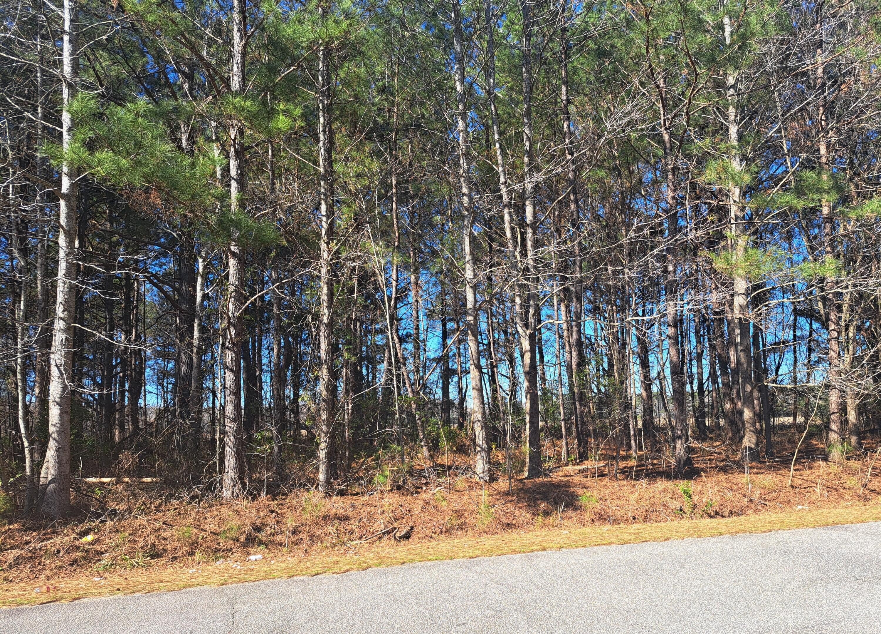 Land For Sale in Santee