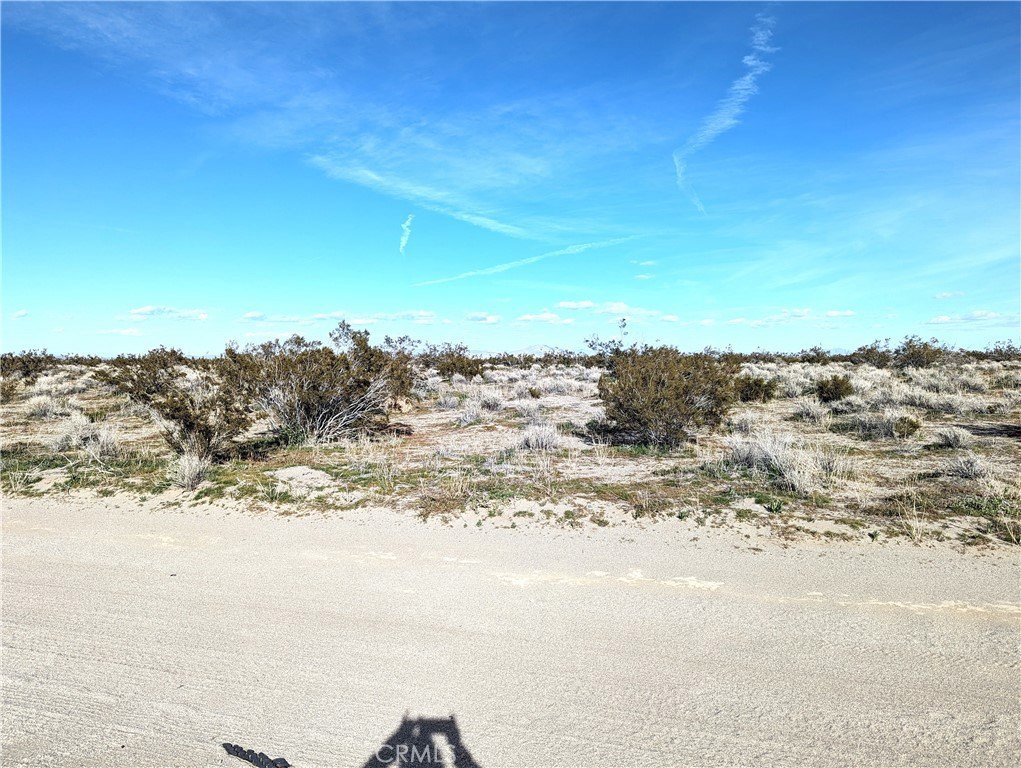 Picture 3