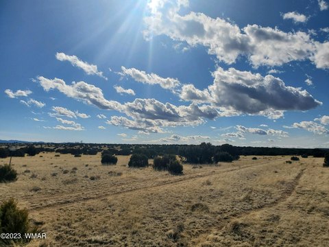Land in Concho, Arizona