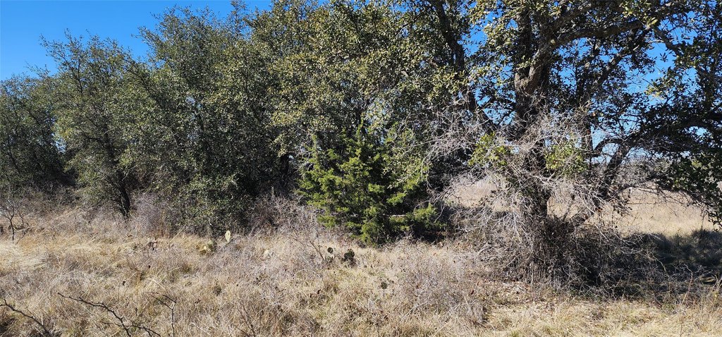 Picture 3