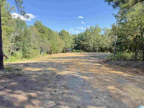 LAND/LOTS, ODENVILLE, AL