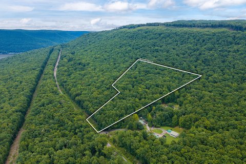 Land, Guild, TN
