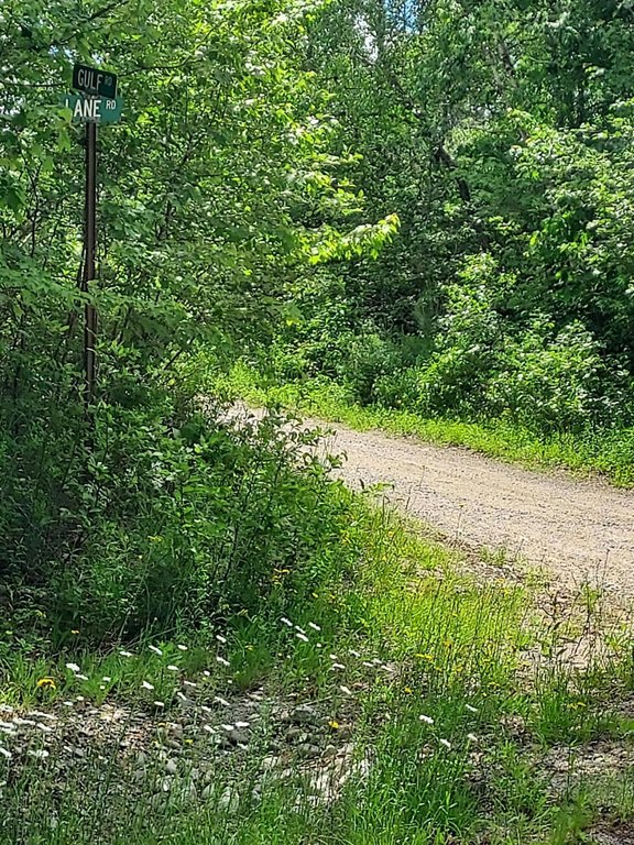 Picture 13
