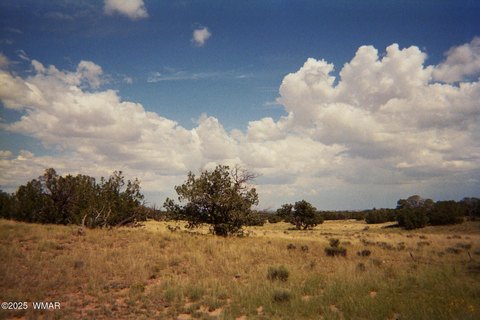 40-Acre Lot with Views